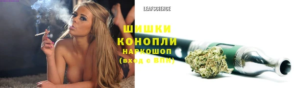 spice Абинск