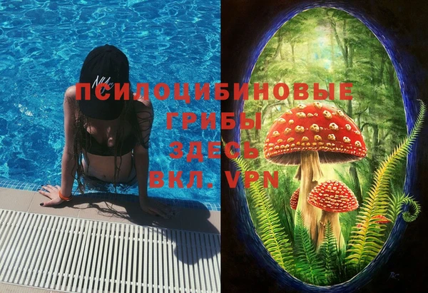 2c-b Алексин