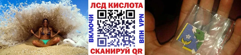 дарк нет клад  Снежногорск  Наркотические марки 1500мкг 